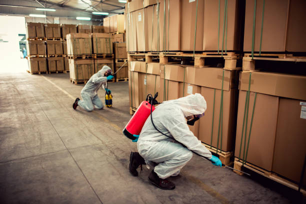 Wildlife Control Services in Ortonville, MN