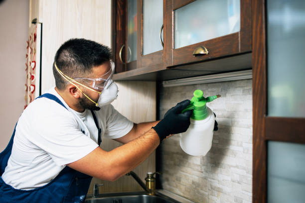 Best Commercial Pest Control Services  in Ortonville, MN