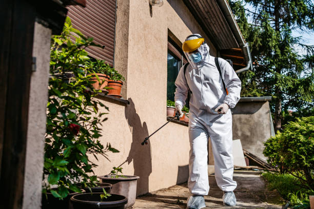 Wasp Removal Services in Ortonville, MN