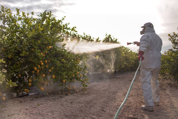 Best Cockroach Control Services  in Ortonville, MN