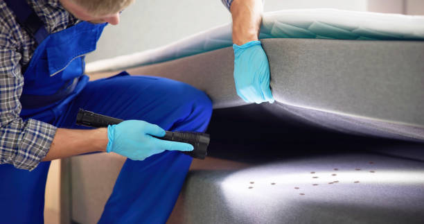 Best Affordable Pest Control Services  in Ortonville, MN