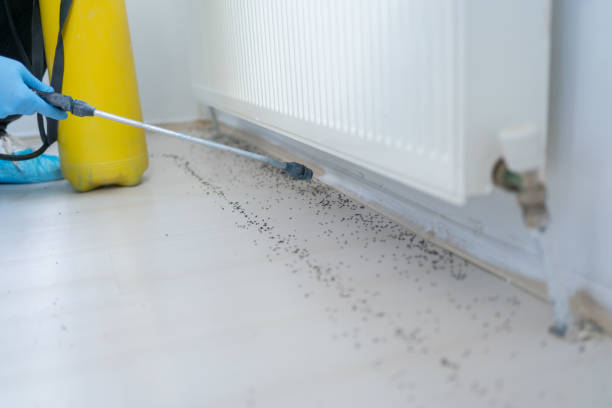 Best Affordable Pest Control Services  in Ortonville, MN