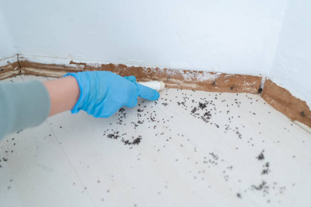 Best Pest Prevention Services  in Ortonville, MN